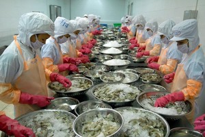 Thủy sản Minh Phú sẽ kháng cáo việc Hải quan Mỹ áp đặt thuế chống bán phá giá với tôm xuất khẩu.