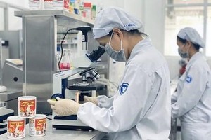 Xuất khẩu sang Trung Quốc 10 tháng 2020 vẫn tăng trưởng 14% trong khi nhiều thị trường lớn như Asean, Hàn Quốc sụt giảm