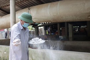 Người dân chủ động phun xịt thuốc sát trùng, rãi vôi vệ sinh chuồng trại để ngăn chặn dịch lở mồm long móng lây lan tại Bến Tre. Ảnh: Huỳnh Phúc Hậu/TTXVN 