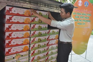 Việt Nam cung cấp cho thị trường Mỹ 1.352 tấn xoài các loại, tăng 87,4% so với cùng kỳ 2019