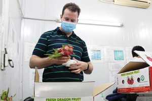 Một số mặt hàng hoa quả của Việt Nam được người tiêu dùng Mỹ đánh giá cao.