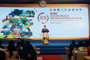 Phó Thủ tướng Vũ Đức Đam phát biểu chỉ đạo tạo Hội nghị. Ảnh: Thanh Tân