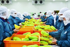 RCEP sẽ giúp mở cửa để Việt Nam nhập khẩu hàng hóa rẻ hơn, đặc biệt là các nguyên vật liệu đầu vào phục vụ sản xuất.