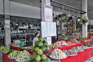 Quy hoạch ĐBSCL: Ưu tiên phát triển trồng, chế biến rau màu, trái cây