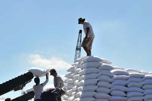 Phiên đấu giá hạn ngạch thuế quan nhập khẩu đường năm 2020 không được tổ chức do không có thương nhân đăng ký tham gia.