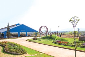 Vinamilk đạt giải nhất cho hạng mục Báo cáo Phát triển bền vững năm nay