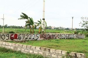 Nhiều sản phẩm đất nền được rao bán ở Hòa Lạc. Ảnh: Thành Nguyễn