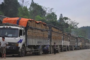 Theo Bộ Công Thương, doanh nghiệp xuất khẩu, các địa phương có vùng trồng nông sản lớn theo dõi sát tình hình thông quan hàng hóa xuất khẩu tại các cửa khẩu biên giới Việt – Trung.