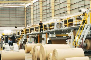 Việc sở hữu Công ty Bao bì Biên Hòa giúp SCG Group củng cố vị thế của mình trong lĩnh vực công nghiệp. Ảnh: A.H