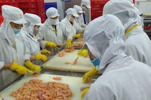 Năm 2020, Việt Nam có 31 thị trường xuất khẩu đạt kim ngạch trên 1 tỷ USD, trong đó, 5 thị trường đạt kim ngạch trên 10 tỷ USD, 8 thị trường trên 5 tỷ USD