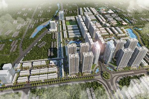 Năm 2021, TCH sẽ triển khai các thủ tục xin giấy phép và giải phóng mặt bằng Hoàng Huy New City với quy mô 65 ha tại huyện Thủy Nguyên, Hải Phòng