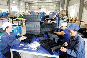 Trong khủng hoảng Covid-19 chưa từng có, mọi mô hình kinh doanh đều phải giải bài toán sống còn. Trong ảnh: Công ty TNHH Thương mại và Dịch vụ Hiền Lê sản xuất bao bì công nghiệp cho các doanh nghiệp FDI Ảnh: Đức Thanh