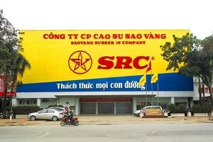 Kế hoạch giàu tham vọng và bài toán điều tiết dòng tiền của Cao su Sao Vàng (SRC)