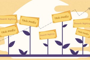 Sự méo mó của thị trường trái phiếu doanh nghiệp không chỉ do sự gian dối của đơn vị phát hành, mà do tất cả các bên tham gia