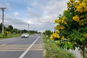 Quốc lộ 61C nối TP. Cần Thơ với TP. Vị Thanh, tỉnh Hậu Giang