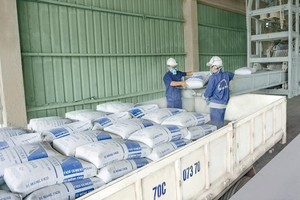 Tính đến cuối năm 2020, ngành xi măng có 90 dây chuyền sản xuất clinker, xi măng.