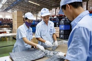 Tháng 1/2021, cả nước có gần 10.100 doanh nghiệp thành lập mới