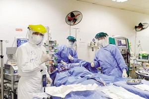 Các bác sĩ tại Bệnh viện Bệnh nhiệt đới Trung ương đang điều trị cho một bệnh nhân Covid-19