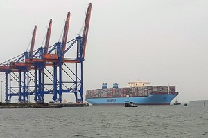 Tàu vận chuyển container Margrethe Maersk cập cảng Cái Mép - Thị Vải hồi cuối tháng 10/2020.