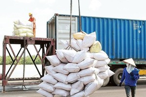 50.000 tấn gạo mà Việt Nam trúng thầu bán cho Bangladesh sẽ được giao trong tháng 4/2021.