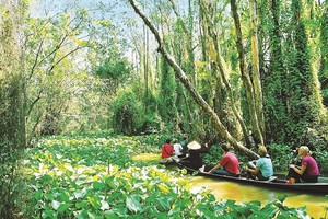 Du lịch sông nước là một trải nghiệm không thể bỏ qua khi đến Đồng Tháp