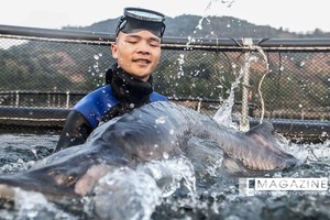 Cận cảnh trang trại độc quyền nhân giống cá tầm triệu đô tại Việt Nam