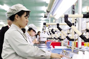 Sản xuất tại Công ty NMS Việt Nam (Khu công nghiệp Đồng Văn II, Hà Nam). Ảnh: Đ.T