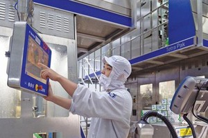 Năng suất lao động bình quân được xem là chìa khóa của sự phát triển.