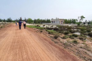 Miền Trung - Tây Nguyên "cuốn" vào cơn sốt đất