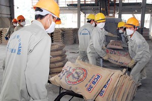 Sản lượng một số vật liệu xây dựng trong đó có xi măng đang dư thừa, cơ quan quản lý khuyến cáo hạn chế đầu tư. Ảnh: Đức Thanh