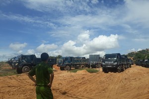 Ninh Thuận: Hàng chục xe ben chở cát bị tạm giữ, nghi do tận thu cát trái phép