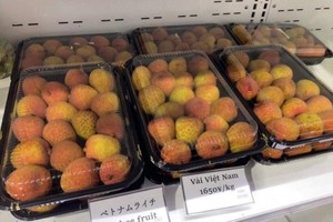 Vải thiều Thanh Hà (Hải Dương) lần đầu xuất khẩu sang Thái Lan