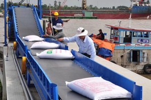 EU phân bổ hạn ngạch cho gạo Việt Nam theo Hiệp định EVFTA từ1/1/2022.