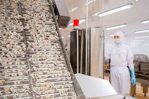 Camimex Group (CMX) thông qua phương án phát hành riêng lẻ 30 triệu cổ phiếu