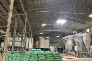 Nhà máy sản xuất lúa gạo của Louis Agro (Nguồn: Louis Agro).