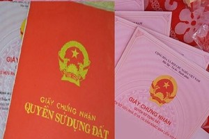 Đà Lạt thu hồi và hủy bỏ nhiều sổ đỏ, sổ hồng cấp sai quy định