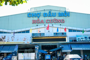 Dự án chợ đầu mối Hoà Phước được xây dựng để thay thế chợ đầu mối Hoà Cường.