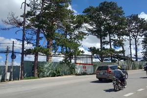 Dự án Đường vành đai TP. Đà Lạt và cơ sở hạ tầng các khu dân cư kéo dài trên các phường 3, 4, 5, TP. Đà Lạt (Ảnh minh họa)