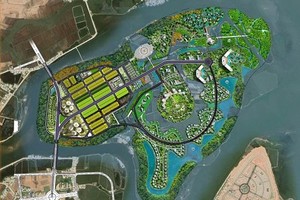 Bình Định: Chuyển 12,71 ha đất rừng làm đất vật liệu san lấp dự án Diêm Vân