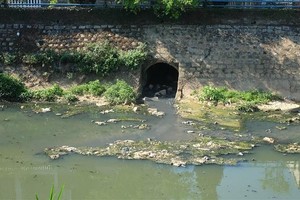 Nhiều cống xả thải gây ô nhiễm môi trường ở suối Cam Ly, Đà Lạt. Ảnh minh họa