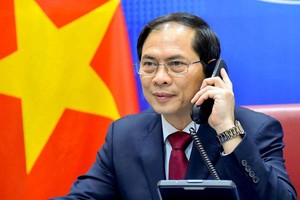 Bộ trưởng Ngoại giao Bùi Thanh Sơn (Ảnh: BNG)