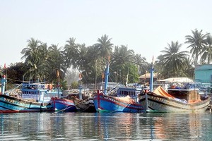 Hệ thống cảng cá và khu neo đậu tại Quảng Nam hiện tại chưa được đầu tư theo đúng quy hoạch của Chính phủ