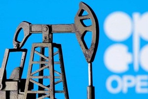 Giữa tuần này, chính quyền Tổng thống Biden đã kêu gọi OPEC+ tăng sản lượng khai thác để đối phó với tình trạng giá năng lượng leo thang.