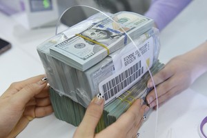 Kiều hối chuyển về TP.HCM trong 6 tháng đầu năm 2021 đạt 3,2 tỷ USD, tăng 22,34% so với cùng kỳ