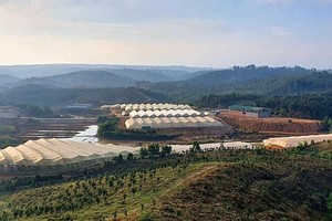 Tỉnh Đắk Nông sẽ rà soát các dự án trong Khu nông nghiệp ứng dụng công nghệ cao.