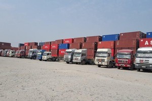 TASA Duyên Hải (TCO) chi gần 602 tỷ đồng để mua 51% công ty kinh doanh lúa gạo