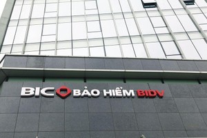 Hiện có nhiều doanh nghiệp bảo hiểm có cổ đông chiến lược nước ngoài sở hữu lượng cổ phần lớn như Bảo Việt, PTI, BIC...