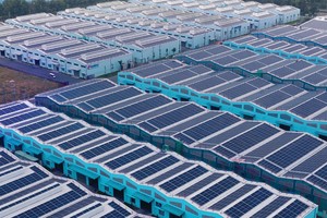 Ảnh: Thành Nguyễn