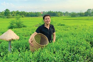 Lê Sơn Hải, chủ thương hiệu An Hải Trà.