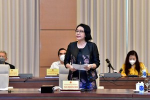 TS. Trần Thị Hồng Minh, Viện trưởng Viện Nghiên cứu quản lý kinh tế Trung ương phát biểu tại toạ đàm.